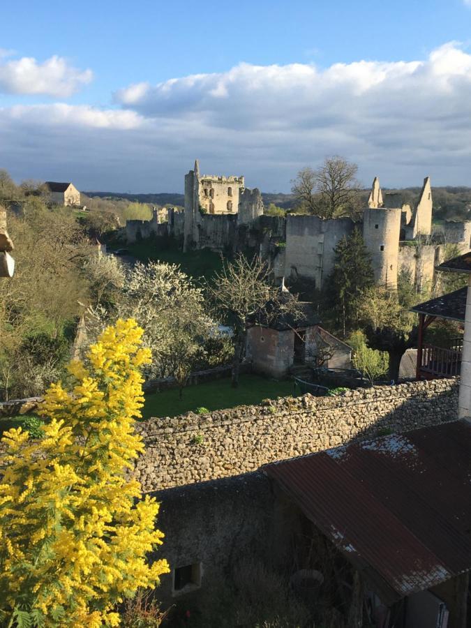 Chez Fred Avec Vue Sur Le Chateau Angles-sur-lʼAnglin Exterior foto